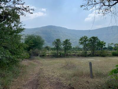 Image of 11000 Sq.ft Residential Plot / Land for sale in Harishchandri, Pune for Rs. 2100000