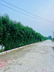 Image of 1200 Sq.ft 2 BHK Farm House for sale in Rohtak Station Diary Mohalla, Rohtak for Rs. 9000000