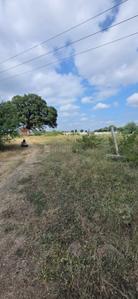 Image of 5000 Sq.ft Residential Plot / Land for sale in Rishi Nagar, Ujjain for Rs. 5500000