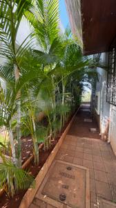 Image of 2500 Sq.ft 3 BHK Independent House for sale in Bhugaon, Pune for Rs. 28500000