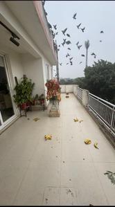 Balcony Image of 4700 Sq.ft 4 BHK Duplex for sale in Royal Apartment, Sigma IV Greater Noida for Rs. 46000000