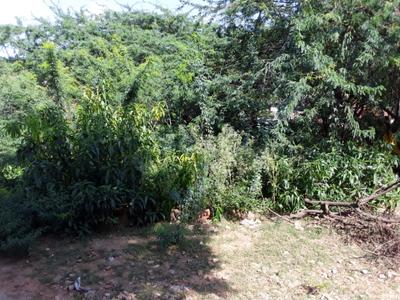 Pili Ki Talai Plot View 3