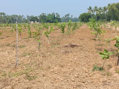 Image of 200 Sq.ft Residential Plot / Land for sale in Kothavalasa, Visakhapatnam for Rs. 1200000
