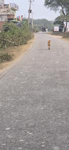 Image of 1400 Sq.ft Residential Plot / Land for sale in Vrindavan Yojana, Lucknow for Rs. 2100000