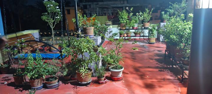 Brahmapur ujjal park Main Image 1