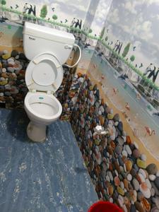 Bathroom Image of Seaburt PG Kolkata in Salt Lake City, Kolkata