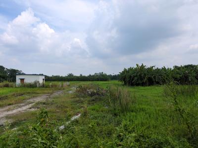 Image of 2880 Sq.ft Residential Plot / Land for sale in Bhasa Eco Village, Joka, Kolkata for Rs. 600000