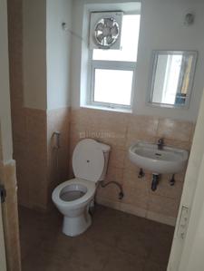 Bathroom Image of 953 Sq.ft 2 BHK Apartment / Flat for rent in Jaypee Aman, Sector 151 Noida for Rs. 23000