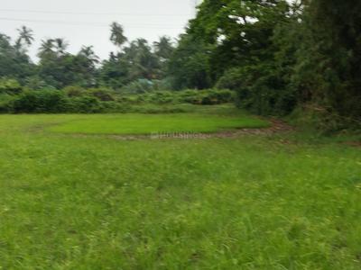 Image of 2000 Sq.ft Residential Plot / Land for sale in Benupur, Bhubaneswar for Rs. 4600000