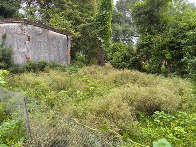 Image of 1165 Sq.ft Residential Plot / Land for sale in Katara Hills, Bhopal for Rs. 2300000