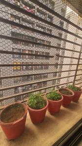 Balcony Image of 1250 Sq.ft 2 BHK Apartment / Flat for rent in Althan Surat for Rs. 23000
