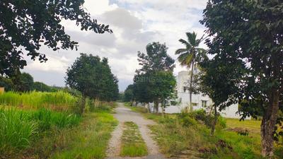 Image of 1440 Sq.ft Residential Plot / Land for sale in Thirumagondanahalli, Bengaluru for Rs. 5040000