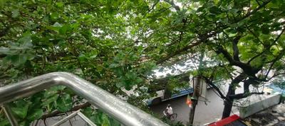 Balcony Image of 750 Sq.ft 2 BHK Apartment / Flat for sale in Sarada Pally Kolkata for Rs. 4800000