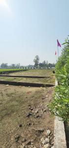 Image of 1250 Sq.ft Residential Plot / Land for sale in Gosainganj, Lucknow for Rs. 2187500