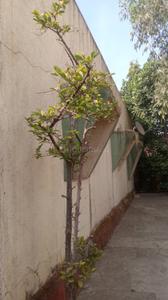 Image of 10985 Sq.ft 10 BHK Independent House for sale in Igatpuri, Nashik for Rs. 15000000