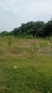 Image of 200 Sq.ft Residential Plot / Land for sale in Kothavalasa, Visakhapatnam for Rs. 1200000