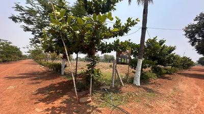 Image of 5520 Sq.ft Residential Plot / Land for sale in Tatibandh, Raipur for Rs. 2622000