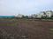 Perne Plot View 2