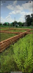 Residential Plot