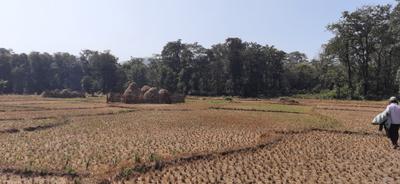 Image of 43560 Sq.ft Residential Plot / Land for sale in Kajubagh, Karwar for Rs. 3100000