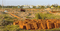 Patrapada Plot View 2