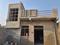 Milak Lachchhi, Noida Extension More Images 1