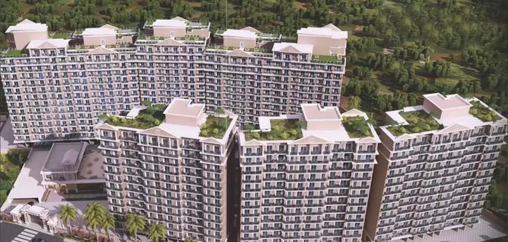 JK Iris Main Image 1