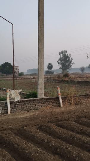 Bal Sanda Main Image 1