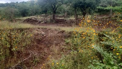 Image of 100000 Sq.ft Residential Plot / Land for sale in Varasgaon, Pune for Rs. 25000000