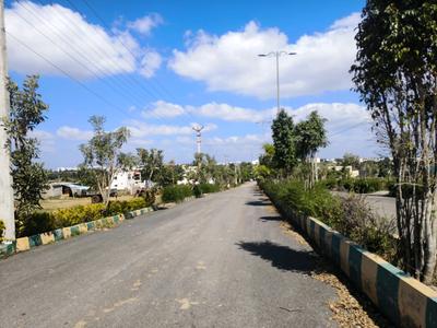 Residential Plot