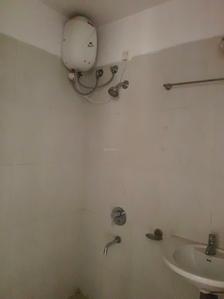 Common Bathroom Image of 774 Sq.ft 1.5 BHK Apartment / Flat for rent in Lodha Casa Rio, Palava Phase 1 Thane for Rs. 14499