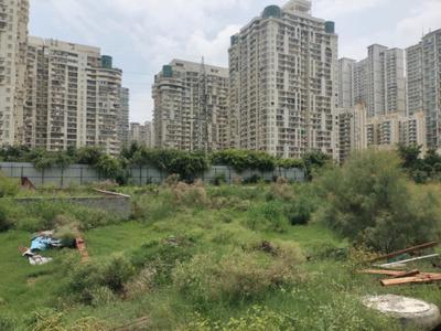 Image of 900 Sq.ft Residential Plot / Land for sale in Centrum Estates 76, Sector 76, Noida for Rs. 17500000