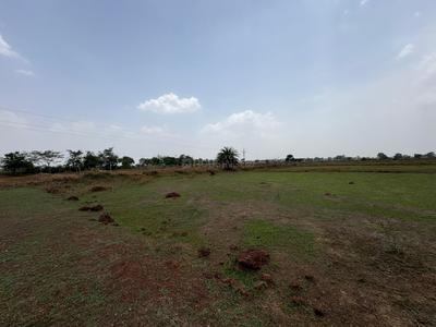 Image of 800 Sq.ft Residential Plot / Land for sale in Ashtvinayaka Shantikunj City, Chhachhanpairi, Raipur for Rs. 1600000