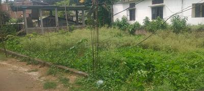 Image of 5760 Sq.ft Residential Plot / Land for sale in Narengi Tinali, Guwahati for Rs. 6500000
