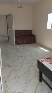 Bedroom Image of 900 Sq.ft 2 BHK Apartment / Flat for rent in Burari Premium Homes, Burari New Delhi for Rs. 10000