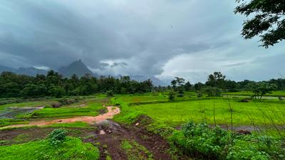 Image of 87120 Sq.ft Residential Plot / Land for sale in Murbad, Thane for Rs. 12000000