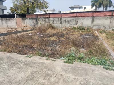 Image of 1200 Sq.ft Residential Plot / Land for sale in Haldwani, Nainital for Rs. 5500000