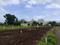 Wagholi Plot View 2