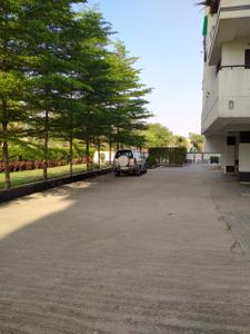 Image of 1000 Sq.ft 2 BHK Apartment / Flat for rent in Sainath Sai Royal Retreat, Musakhedi, Indore for Rs. 16500