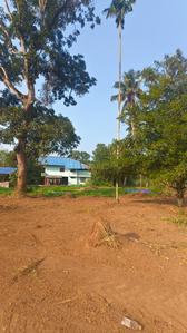 Image of 2200 Sq.ft Residential Plot / Land for sale in Irinjalakuda, Thrissur for Rs. 300000