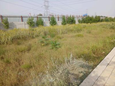 Image of 1539 Sq.ft Residential Plot / Land for sale in Garden 28 Pataudi, Farukh Nagar, Gurgaon for Rs. 15390000