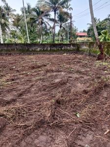 Image of 2000 Sq.ft Residential Plot / Land for sale in Mulanthuruthy, Kochi for Rs. 625000