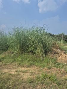 Image of 200 Sq.ft Residential Plot / Land for sale in Sector-13, Bahadurgarh for Rs. 18500000