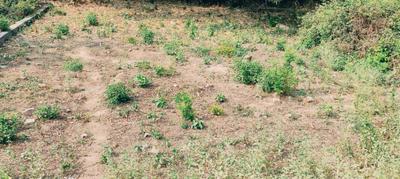 Image of 2041 Sq.ft Residential Plot / Land for sale in Khagaul, Patna for Rs. 6400000