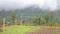 Salt Spice Karjat Main Image 1