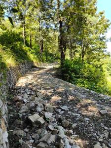 Image of 2809 Sq.ft Residential Plot / Land for sale in Mohan Range, Almora for Rs. 22000000