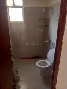 Image of 750 Sq.ft 3 BHK Apartment / Flat for sale in Terra Lavinium, Sector 75, Faridabad for Rs. 6200000
