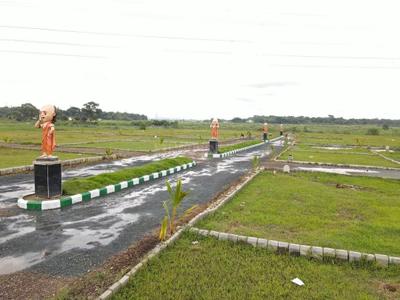 Plam yard Plot View 2