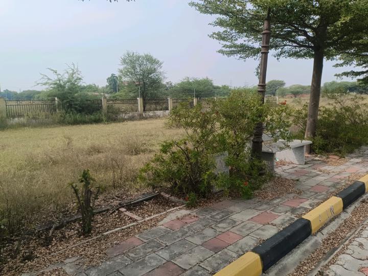 Devender Colony Plot View 1