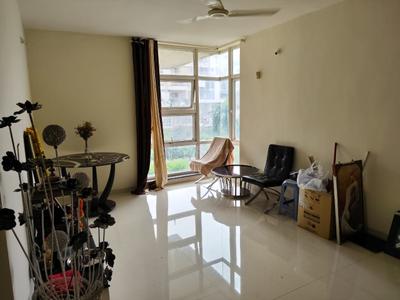 Hall Image of 800 Sq.ft 2 BHK Apartment / Flat for rent in Rohan Mithila, Viman Nagar Pune for Rs. 50000
